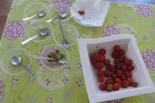 prázdne stoly, tanieriky, mištičky - najlepší dôkaz, že chutilo ;)